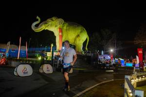 BIB: 
                            <button type="button" onclick="openModal(26552388)" class="btn btn-primary btn-sm float-right btn-popup" data-toggle="modal" data-target=".modal-high-quality">
                        <i class="fas fa-shopping-cart"></i> Add to Cart
                    </button>
                                            <button type="button" onclick="isThisMe(26552388, true)" class="btn btn-success btn-sm float-right btn-popup btn-isme hidden" data-toggle="tooltip" data-placement="bottom" title="นี่คือรูปของคุณใช่ไหม คลิกที่นี่เพื่อเอาเข้าอัลบั้ม">
                        <i class="fas fa-plus"></i> Add to album
                    </button>
                    <button type="button" onclick="isThisMe(26552388, false)" class="btn btn-warning btn-sm float-right btn-popup btn-isnotme hidden">
                        <i class="fas fa-ban"></i> Remove from album
                    </button>